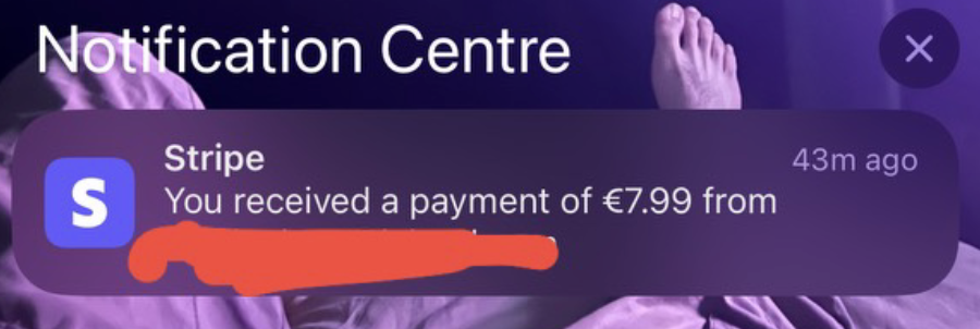 Stripe Notification 2